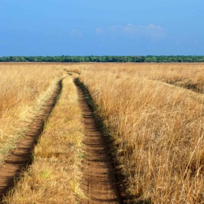 Busanga Plains compilation