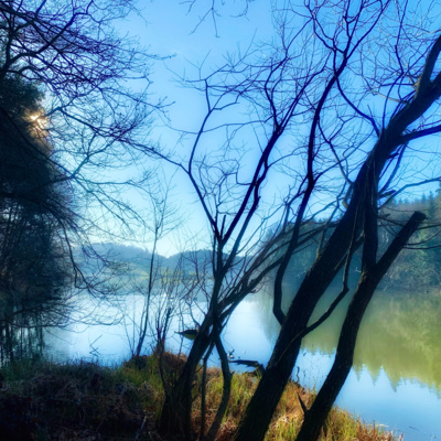 Šmartinsko jezero, spring morning