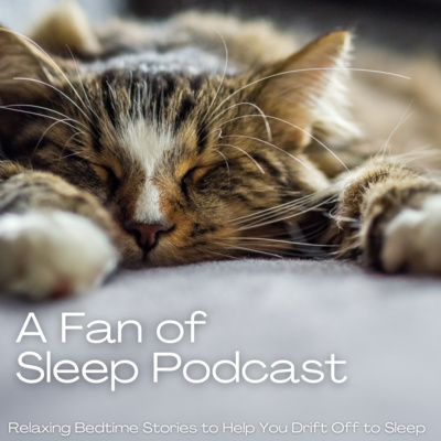 Sleep Podcast: Luna's Nighttime Adventures