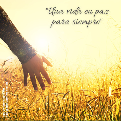 Una vida en paz para siempre | ▶️ JW • (304) (Lenguaje en señas interpretada) episode artwork