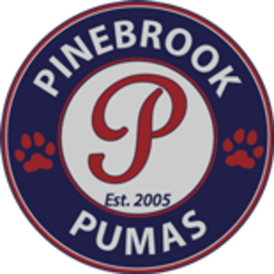 Puma Pawd