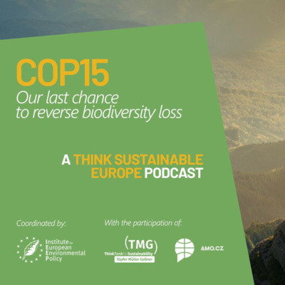 Podcast | COP15 - Think Sustainable Europe episode artwork