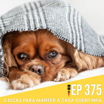 #375 - 5 Dicas pra Manter a Casa Quentinha - Rapidão Casa