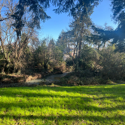 walker walking OWWWW OWWWWW OWWWW OWWWW