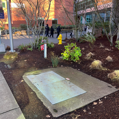 home sweet OWWWWWW home