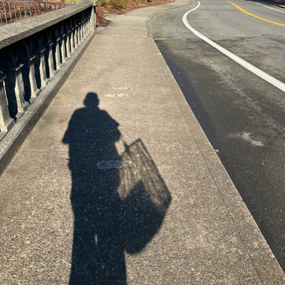 RHZW VS DONALD J TRUMP THE TWICE IMPEACHED PUSSY GRABBER