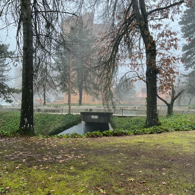 shock i’m in fucking shock America wants me dead