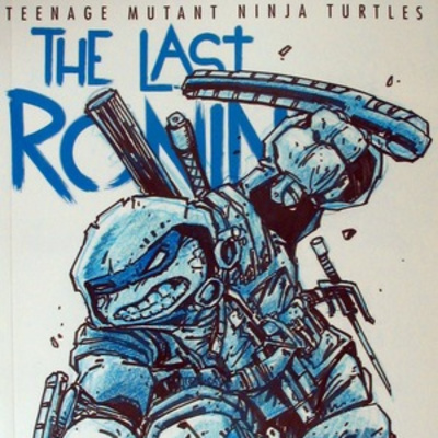 Turtles Forever