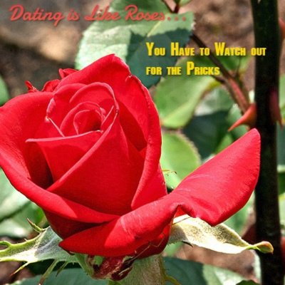 Dating is Like Roses...You Have to Watch Out for the Pricks