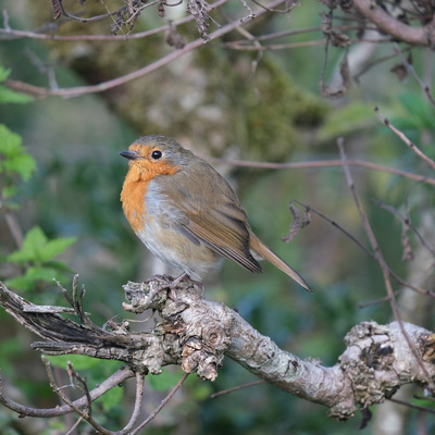 An introduction, taxi drivers, moments of joy