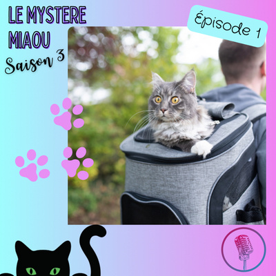 S03-01 : que contient le sac à dos d'un CatSitter ? (Les indispensables pour s’occuper d’un chat)