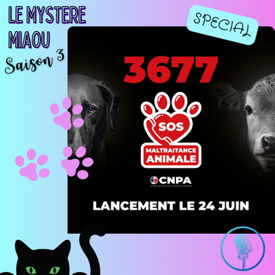 SPECIAL- maltraitance animale : quel est le numéro 3677, et comment l’utiliser pour signaler un cas?