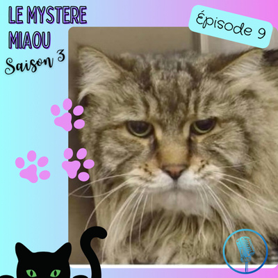 S03-09 : comment évaluer la douleur chez le chat (Focus sur la Féline Grimace Scale) ?