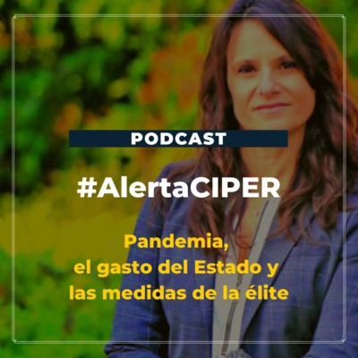 Capítulo 5 / Entrevista a Andrea Repetto: pandemia, el gasto del Estado y las medidas de la élite