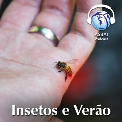 Ferroadas de insetos durante o verão e as alergias episode artwork