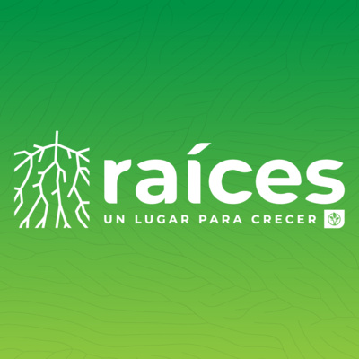 Raíces | Hechos 1 | Ps. Silvia Alvarado
