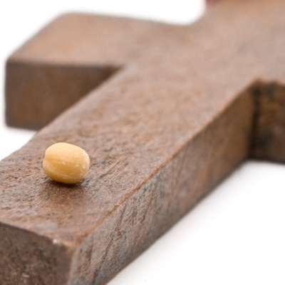"That Little Mustard Seed" June 13, 2021 Proper 6 RCL B s4 e19