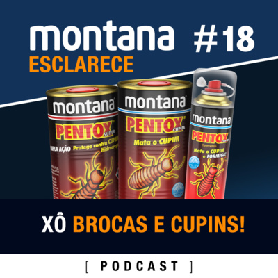 Ep. #18 – Xô brocas e cupins