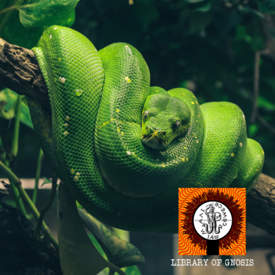 The Tree of Life and The Serpent