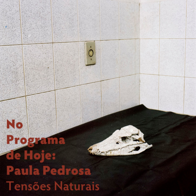 No Programa de Hoje: Paula Pedrosa - Tensões Naturais