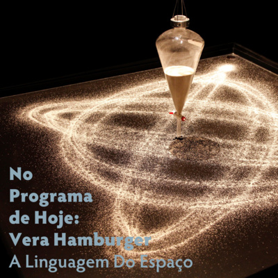 No Programa de Hoje: Vera Hamburger - A Linguagem Do Espaço