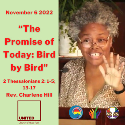 "The Promise of Today: Bird by Bird" (November 6 2022)