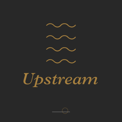 David's Journey in 2020