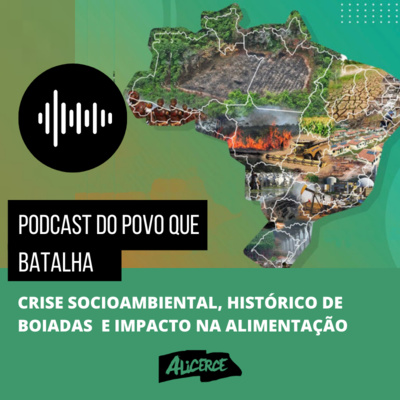 Crise socioambiental, histórico de boiadas e impacto na alimentação