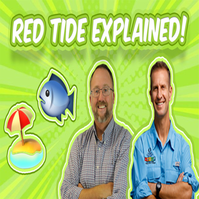 Red Tide and Blue Green Algae Explained With FGCU Professor of Marine and Ecological Sciences episode artwork