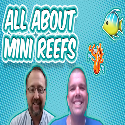 The HartBeat Show Podcast