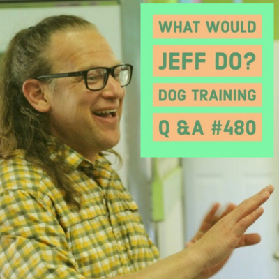 Counter Surfing Dogs | Dog Pulls on Walks | What Would Jeff Do? Dog Training Q & A #480 episode artwork