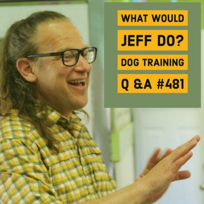 Leash Reactive Dogs | Lunging dogs | What Would Jeff Do? Dog Training Q & A #481 episode artwork