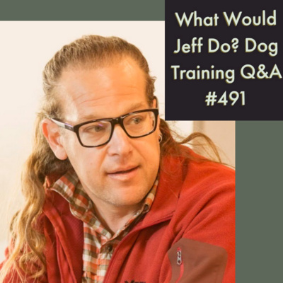 Feeding dogs in Crates | Stop a jumping dog | What Would Jeff Do? Dog Training Q & A #491 episode artwork