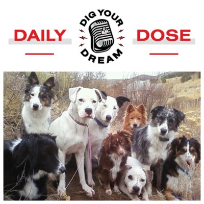 DAILY DOSE - Rescue Man's Best Friend - 9/2/18