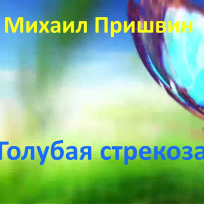 Купить Финские Сети В Магазине Стрекоза Купить Финские Сети В Магазине Стрекоза