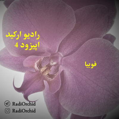 اپیزود 4: فوبیا