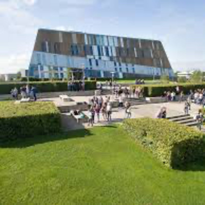 Hoe gaan scholen om met het 'op afstand leren'?