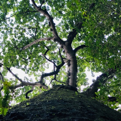 No es lo mismo llegar en clase turista que llegar en primera clase