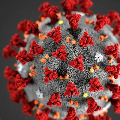 Riflessioni sulla quarantena ed il corona virus