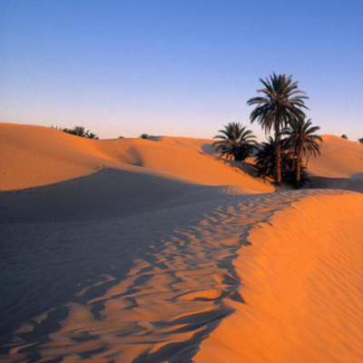 قصص الانبياء