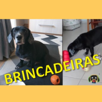 #034 Cãocentrado no Assunto - Truques e Brincadeiras