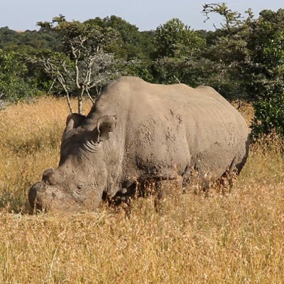 Good Tuesday Morning 🌄 Morning Coffee ☕ 06.14.2022 Vokl 2.0 Broadcast 🎥 🎬