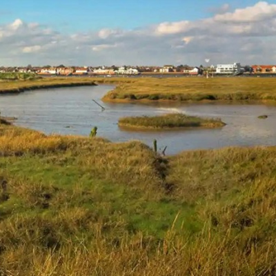 Good Thursday Morning 🌄 Morning Coffee ☕ 06.16.2022 Vokl 2.0 Broadcast 🎥 🎬