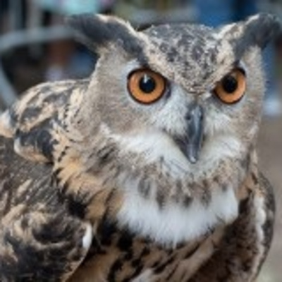 Anchor Morning Audio: Morning Coffee ☕ 02.28.2023 ⚓️🌊🎙🔊