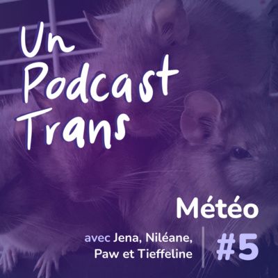 #5 - Météo