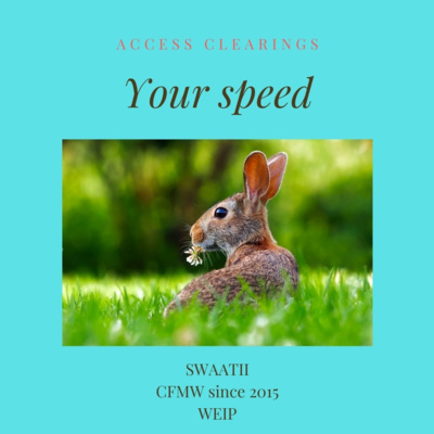 Your speed | 30 min loop | via Access clearings