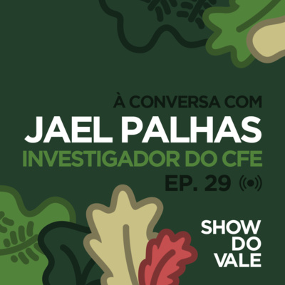 Ep.29 - À conversa com Jael Palhas Investigador no CFE