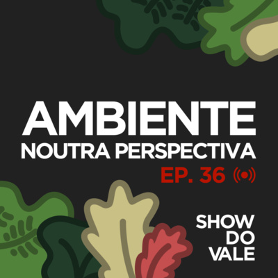 Ep.36 - Ambiente noutra perspectiva.