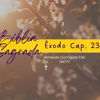 Bíblia Sagrada: Êxodo Cap. 23