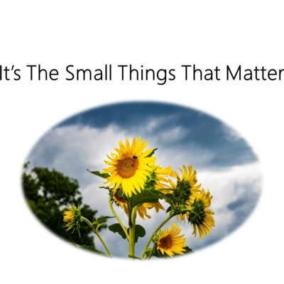 It's the Small Things That Matter It's the Small Things That Matter